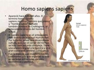 Homo sapiens sapiens
• Apareció hace 120.000 años. El
termino homo sapiens
sapiens significa “hombre que piensa”
u "hombre sabio" llamado
también hombre de CroMagnon, el
antecedente directo del hombre
actual.
• El sapiens sapiens es el antepasado
más directo de la actual Humanidad.
Por lo tanto, posee una desarrollada
cultura, que con el correr del tiempo
se hizo cada vez más compleja. Tiene
una anatomía igual a la nuestra y una
gran capacidad cerebral (1350 cm3).
• Fue la especie que invadió todos los
continentes y la que organizó su vida
en variadas estructuras sociales,
económicas y políticas.
 