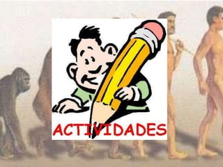 Evolucion del hombre