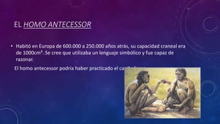EL HOMO ANTECESSOR
• Habitó en Europa de 600.000 a 250.000 años atrás, su capacidad craneal era
de 1000cm³. Se cree que utilizaba un lenguaje simbólico y fue capaz de
razonar.
El homo antecessor podría haber practicado el canibalismo.
 