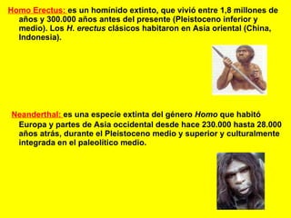Homo Erectus:  es un homínido extinto, que vivió entre 1,8 millones de años y 300.000 años antes del presente (Pleistoceno inferior y medio). Los  H. erectus  clásicos habitaron en Asia oriental (China, Indonesia).   Neanderthal:  es una especie extinta del género  Homo  que habitó Europa y partes de Asia occidental desde hace 230.000 hasta 28.000 años atrás, durante el Pleistoceno medio y superior y culturalmente integrada en el paleolítico medio. 