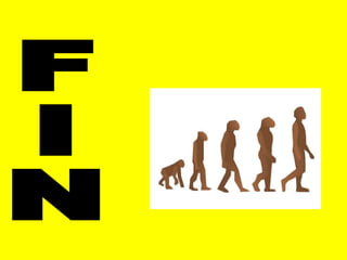 FIN 