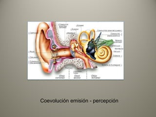 Coevolución emisión - percepción
 