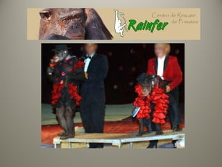 Evolucion del lenguaje