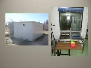 Evolucion del lenguaje