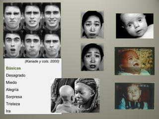 (Kanade y cols. 2000)
Básicas
Desagrado
Miedo
Alegría
Sorpresa
Tristeza
Ira
 