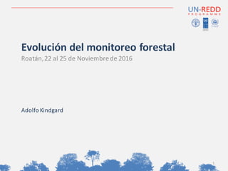 Evolución del	monitoreo forestal
Roatán,	22	al	25	de	Noviembrede	2016
Adolfo	Kindgard
1
 