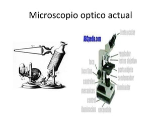 Microscopio optico actual 