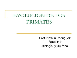 EVOLUCION DE LOS
    PRIMATES

        Prof. Natalia Rodríguez
               Riquelme
          Biología y Química
 