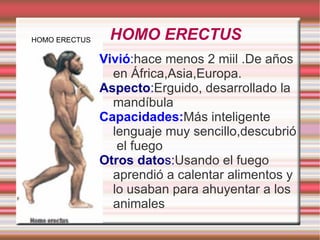 Aspecto :Esbelto,cráneo mayor que él Australopitecos. 
