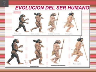 EVOLUCION DEL SER HUMANO 