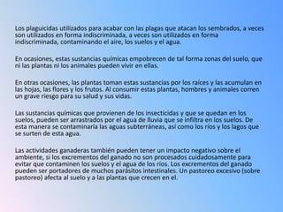 Los plaguicidas utilizados para acabar con las plagas que atacan los sembrados, a veces
son utilizados en forma indiscriminada, a veces son utilizados en forma
indiscriminada, contaminando el aire, los suelos y el agua.

En ocasiones, estas sustancias químicas empobrecen de tal forma zonas del suelo, que
ni las plantas ni los animales pueden vivir en ellas.

En otras ocasiones, las plantas toman estas sustancias por los raíces y las acumulan en
las hojas, las flores y los frutos. Al consumir estas plantas, hombres y animales corren
un grave riesgo para su salud y sus vidas.

Las sustancias químicas que provienen de los insecticidas y que se quedan en los
suelos, pueden ser arrastrados por el agua de lluvia que se infiltra en los suelos. De
esta manera se contaminaría las aguas subterráneas, así como los ríos y los lagos que
se surten de esta agua.

Las actividades ganaderas también pueden tener un impacto negativo sobre el
ambiente, si los excrementos del ganado no son procesados cuidadosamente para
evitar que contaminen los suelos y el agua de los ríos. Los excrementos del ganado
pueden ser portadores de muchos parásitos intestinales. Un pastoreo excesivo (sobre
pastoreo) afecta al suelo y a las plantas que crecen en el.
 