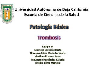 Universidad Autónoma de Baja California
Escuela de Ciencias de la Salud
 
