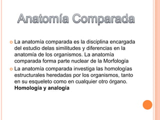 La anatomía comparada es la disciplina encargada
del estudio delas similitudes y diferencias en la
anatomía de los organismos. La anatomía
comparada forma parte nuclear de la Morfología
 La anatomía comparada investiga las homologías
estructurales heredadas por los organismos, tanto
en su esqueleto como en cualquier otro órgano.
Homología y analogía


 