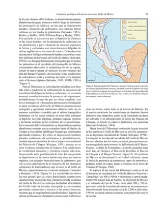 Evolución geológica del sureste mexicano, Golfo de México 29
Área emergida
Lutitas y calizas (plataforma)
Calizas y lutitas (plataforma)
Lutitas
Área marina
16°
18°
20°
102° 100°
98° 96° 92° 90° 88°94°km
2001000
de lo cual, durante el Oxfordiano, se desarrollaron amplias
plataformas de aguas someras a todo lo largo de los bordes
del protogolfo de México, en las que se depositaron
grandes volúmenes de carbonatos, con extensas barras
oolíticas en los bordes de plataforma (Salvador, 1991c;
Winker y Bufﬂer, 1988; Williams-Rojas y Hurley, 2001).
Este período se caracteriza por el depósito de clásticos
en las zonas litorales, por la abundancia de carbonatos en
las plataformas y por el depósito de menores espesores
de lutitas y carbonatos con intercalaciones delgadas de
calizas argiláceas en las zonas de cuenca. De hecho estas
asociaciones litológicas formaron bandas concéntricas muy
bien deﬁnidas en los bordes del Golfo de México (Salvador,
1991b). Los bloques de basamento emergidos que formaban
las paleoislas en el occidente del protogolfo de México
continuaban afectando la sedimentación de la región,
siendo el mayor aporte de clásticos los provenientes del
área del Bloque Yucatán y del noroeste. Estas condiciones
de subsidencia lenta y continua prevalecieron durante
todo el Kimmeridgiano (Salvador, 1987, 1991b, 1991c)
(Figura 7).
Para el Tithoniano, la velocidad de subsidencia se hizo
más lenta y predominó la sedimentación de secuencias de
estratiﬁcación delgada de lutitas y carbonatos, en las cuales
aumentó considerablemente la presencia de organismos,
probablemente favorecido por un clima templado. Los
horsts formados en el basamento premesozoico bordeando
la parte occidental del Golfo de México permanecieron
emergidos y aportando sedimentos clásticos cada vez en
menores cantidades a medida que el relieve topográﬁco
disminuía. En las áreas costeras de estas islas continuó
el depósito de rocas clásticas, grandes lagunas litorales
y de barras oolíticas en los extremos de las plataformas.
En el suroeste del Golfo también se desarrollaron amplias
plataformas someras que se extendían hasta el Macizo de
Chiapas y el occidente del BloqueYucatán que continuaban
aportando clásticos. En ellas se depositaron también
grandes volúmenes de carbonatos y, probablemente,
también algunos depósitos de sal en la parte noroccidental
del Macizo de Chiapas (Viniegra, 1971), aunque no se
tiene evidencia concluyente al respecto. Las condiciones
de estabilidad tectónica y climática fueron máximas,
favoreciendo así la proliferación de vida. En este período
se depositaron en la cuenca lutitas muy ricas en materia
orgánica, con delgadas intercalaciones de carbonatos, que
son la roca generadora de la mayoría de los inmensos
volúmenes de hidrocarburos que existen en el Golfo de
México, especialmente en el sureste mexicano (González
y Holguín, 1992) (Figura 9). La estabilidad tectónica
fue tan grande que las rocas depositadas conservaron
características litológicas muy similares en toda la cuenca
del Golfo de México; las islas que bordeaban el occidente
del Golfo todavía estaban emergidas y continuaban
aportando sedimentos clásticos a las zonas litorales,
mientras que en las plataformas predominaba el depósito de
calizas arcillosas con abundantes concreciones fosforíticas
ricas en fósiles, sobre todo en el noreste de México. En
el sureste mexicano las condiciones de depósito fueron
similares a las anteriores, como se ha constatado en datos
de subsuelo y en aﬂoramientos al norte del Macizo de
Chiapas, en donde su edad se determinó con amonitas
(Quezada-Muñetón, 1984).
Hacia ﬁnes del Tithoniano continuaba la gran invasión
de los mares en el Golfo de México y se inició la sumergen-
cia de la porción meridional de Florida (Salvador, 1991b).
La mayoría de las islas del occidente del Golfo de México
fueron cubiertas por los mares jurásicos, pero permanecie-
ron emergidas la parte noroeste de la Península de El Burro-
Peyotes, las Islas de Tamaulipas, Coahuila, pequeñas islas
en el área de Tampico, el Macizo de Teziutlán, el Macizo
de Chiapas y el Bloque Yucatán (Figura 9). Al occidente
de México se incrementó la actividad volcánica, como
lo indica la presencia de numerosas capas de bentonita y
pedernal negro en capas, lentes y nódulos en el norte de
Veracruz (Viniegra, 1966).
El espesor de las rocas del Tithoniano varía en el sur
(Tabasco) y el occidente del Golfo de México (Veracruz y
Tamaulipas) de 400 a 500 m y disminuye a aproximada-
mente 100 m en el área de Saltillo; en el noreste de México
y el subsuelo del sur de Texas, tiene entre 500 y 700 m,
pero en el norte de Louisiana el espesor se incrementa con-
siderablemente hasta alcanzar cerca de 1,200 m (Salvador,
1991b), en donde además contiene una proporción mayor
de arenas.
Figura 9. Paleogeografía del Tithoniano superior. Nótese la gran extensión
de las áreas de plataformas someras, en donde ocurrió el depósito de rocas
ricas en materia orgánica que constituyen la principal roca generadora de
hidrocarburos en el Golfo de México. Las costas y las fronteras del país
se muestran como referencia.
 
