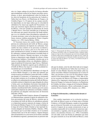 Evolución geológica del sureste mexicano, Golfo de México 31
Área emergida
Arrecife de barrera
Zona lagunar
Área marina
16°
18°
20°
102° 100°
98° 96° 92° 90° 88°94°km
2001000
otra vez, largas cadenas de arrecifes de barrera ubicados
aproximadamente arriba de las franjas arrecifales neoco-
mianas, es decir, aproximadamente sobre los bordes de
los altos de basamento de las paleoislas de Coahuila y
Valles-San Luis Potosí y la Plataformas de Tuxpan y de
Córdoba (Figura 11). El espesor de los cuerpos arrecifa-
les depositados en este lapso indica que la velocidad de
subsidencia fue mayor que aquella del Neocomiano. Las
áreas que muestran alguna diferencia notable en el sur
de México, como por ejemplo las plataformas de Artesa
y Mundo Nuevo, estuvieron afectadas por el desalojo de
sal calloviana que generó elevaciones del fondo marino,
que a su vez causaron claras discordancias regionales en
el sureste mexicano, como se ha observado en numerosas
líneas sísmicas inéditas propiedad de Pemex (Angeles
Aquino et al., 1992; García-Molina, 1994)).
El Turoniano marca otro cambio importante en los
patrones de sedimentación del Golfo de México, porque
termina el predominio del depósito de carbonatos. Este
cambio fue más evidente en las porciones occidental y
noroccidental de la cuenca, pero no lo fue tanto en la
parte meridional de la misma, en donde la sedimentación
de carbonatos continuó prácticamente invariable hasta el
término del Cretácico. Durante esta época, en las plata-
formas se depositaron capas delgadas de calizas y lutitas
(Formaciones Indidura y Guzmantla), mientras que en la
cuenca se depositaban calizas con abundantes nódulos y
capas de pedernal (Formaciones Agua Nueva y Maltrata).
Tales patrones de depósito sugieren que la subsidencia en
el Golfo de México fue mayor en su borde occidental-no-
roccidental que en el meridional.
Con base a los aﬂoramientos abundantes a lo largo de
la Sierra Madre Oriental y a los datos del subsuelo que
existen en pozos en la Planicie Costera del Golfo, se inﬁere
que durante el Coniaciano y el Santoniano se incrementó
la actividad volcánica en el occidente de México, lo cual
se reﬂejó en la sedimentación marina del Golfo de México,
en donde continuó el depósito de capas delgadas de calizas
y lutitas, pero con abundantes horizontes intercalados de
bentonita, abarcando todas las plataformas del borde oc-
cidental y meridional del Golfo, mientras que en la cuenca
continuaba el depósito de carbonatos con bandas y nódulos
de pedernal con delgadas intercalaciones de bentonita
(Salvador 1991b).
Para el ﬁn del Período Cretácico, durante el Campaniano
y el Maestritchiano, aumentó el aporte de sedimentos clás-
ticos provenientes del oeste de México, mientras que en
el occidente del Golfo de México la subsidencia aumentó
y se depositaron gruesos espesores de margas y lutitas de
la Formación Méndez (Figura 12). En varias localidades a
lo largo de la Sierra Madre Oriental se han reportado ho-
rizontes delgados de bentonita (Padilla y Sánchez, 1986),
que indican que la actividad volcánica en el occidente
continuó hasta casi el ﬁn del Cretácico. Algunos bloques
altos de basamento no se movieron con la misma velocidad
de subsidencia regional y permanecieron en posición más
alta que los demás, como ha sido observado en la margen
oriental de la Plataforma de Valles-San Luis Potosí, en
donde la Lutita Méndez descansa discordante sobre las
calizas arrecifales Albiano-Cenomanianas de la Caliza El
Abra, que presenta en este nivel de discordancia rasgos
cársticos bien desarrollados (Aguayo, 1978). Más al sur,
en las cercanías del Macizo de Chiapas se depositaban
clásticos (Fm. Angostura), mientras que en las zonas de la
Sierra de Chiapas, la Cuenca de Veracruz y la Plataforma
de Córdoba, las lutitas y margas de la Formación Méndez
cambiaban lateralmente a facies carbonatadas de aguas
someras (Prost y Aranda, 2001; Jennette et al., 2003).
6. Etapa de deformación y sedimentación durante el
Cenozoico
Otro cambio importante en la evolución tectónica
del Golfo de México ocurre en el límite entre el Período
Cretácico y el Período Paleógeno, cuando se ha postulado
que en el área de Chicxulub, en la costa norte de Yucatán,
ocurrió el impacto de un cuerpo extraterrestre al que se
considera responsable de la extinción de numerosas espe-
cies animales y vegetales, entre las que destacan los dino-
sauros y las amonitas (Alvarez et al., 1992). Coincidente
con esta edad, existe una brecha en carbonatos que tiene
una gran extensión en el sur del Golfo de México y tiene
Figura 11. Paleogeografía del Albiano-Cenomaniano. La sedimentación
de clásticos prevaleció sobre los carbonatos hasta el Aptiano tardío,
tiempo en el que los altos de basamento que estuvieron emergidos desde
el Jurásico tardío fueron sumergidos bajo las aguas del mar. A partir de
entonces la sedimentación de carbonatos dominó nuevamente en toda
la cuenca del Golfo de México. Las costas y las fronteras del país se
muestran como referencia.
 