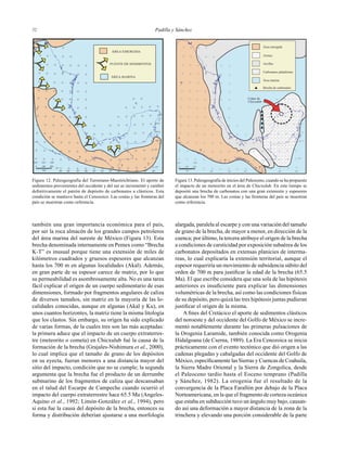 Padilla y Sánchez3232
Área emergida
Arenas
Arcillas
Carbonatos plataforma
Área marina
Brecha de carbonatos
?
?
?
?
?
Cráter de
Chicxulub
16°
18°
20°
102° 100°
98° 96° 92° 90° 88°94°km
2001000
también una gran importancia económica para el país,
por ser la roca almacén de los grandes campos petroleros
del área marina del sureste de México (Figura 13). Esta
brecha denominada internamente en Pemex como “Brecha
K-T” es inusual porque tiene una extensión de miles de
kilómetros cuadrados y gruesos espesores que alcanzan
hasta los 700 m en algunas localidades (Akal). Además,
en gran parte de su espesor carece de matriz, por lo que
su permeabilidad es asombrosamente alta. No es una tarea
fácil explicar el origen de un cuerpo sedimentario de esas
dimensiones, formado por fragmentos angulares de caliza
de diversos tamaños, sin matriz en la mayoría de las lo-
calidades conocidas, aunque en algunas (Akal y Ku), en
unos cuantos horizontes, la matriz tiene la misma litología
que los clastos. Sin embargo, su origen ha sido explicado
de varias formas, de la cuales tres son las más aceptadas:
la primera aduce que el impacto de un cuerpo extraterres-
tre (meteorito o cometa) en Chicxulub fué la causa de la
formación de la brecha (Grajales-Nishimura et al., 2000),
lo cual implica que el tamaño de grano de los depósitos
en su eyecta, fueran menores a una distancia mayor del
sitio del impacto, condición que no se cumple; la segunda
argumenta que la brecha fue el producto de un derrumbe
submarino de los fragmentos de caliza que descansaban
en el talud del Escarpe de Campeche cuando ocurrió el
impacto del cuerpo extraterrestre hace 65.5 Ma (Angeles-
Aquino et al., 1992; Limón-González et al., 1994), pero
si esta fue la causa del depósito de la brecha, entonces su
forma y distribución deberían ajustarse a una morfología
alargada, paralela al escarpe y con una variación del tamaño
de grano de la brecha, de mayor a menor, en dirección de la
cuenca; por último, la tercera atribuye el origen de la brecha
a condiciones de carsticidad por exposición subaérea de los
carbonatos depositados en extensas planicies de interma-
reas, lo cual explicaría la extensión territorial, aunque el
espesor requeriría un movimiento de subsidencia súbito del
orden de 700 m para justiﬁcar la edad de la brecha (65.5
Ma). El que escribe considera que una sola de las hipótesis
anteriores es insuﬁciente para explicar las dimensiones
volumétricas de la brecha, así como las condiciones físicas
de su depósito, pero quizá las tres hipótesis juntas pudieran
justiﬁcar el origen de la misma.
A ﬁnes del Cretácico el aporte de sedimentos clásticos
del noroeste y del occidente del Golfo de México se incre-
mentó notablemente durante las primeras pulsaciones de
la Orogenia Laramide, también conocida como Orogenia
Hidalgoana (de Cserna, 1989). La Era Cenozoica se inicia
prácticamente con el evento tectónico que dió origen a las
cadenas plegadas y cabalgadas del occidente del Golfo de
México, especíﬁcamente las Sierras y Cuencas de Coahuila,
la Sierra Madre Oriental y la Sierra de Zongolica, desde
el Paleoceno tardío hasta el Eoceno temprano (Padilla
y Sánchez, 1982). La orogenia fue el resultado de la
convergencia de la Placa Farallón por debajo de la Placa
Norteamericana, en la que el fragmento de corteza oceánica
que estaba en subducción tuvo un ángulo muy bajo, causan-
do así una deformación a mayor distancia de la zona de la
trinchera y elevando una porción considerable de la parte
ÁREA EMERGIDA
FUENTE DE SEDIMENTOS
?
?
?
? ?
ÁREA MARINA
87°
15°
16°
17°
18°
19°
20°
21°
102° 101° 100°
99° 98° 97° 96° 95° 93° 92° 91° 90° 89° 88°
15°
94°km
2001000
Figura 12. Paleogeografía del Turoniano-Maestrichtiano. El aporte de
sedimentos provenientes del occidente y del sur se incrementó y cambió
deﬁnitivamente el patrón de depósito de carbonatos a clásticos. Esta
condición se mantuvo hasta el Cenozoico. Las costas y las fronteras del
país se muestran como referencia.
Figura 13. Paleogeografía de inicios del Paleoceno, cuando se ha propuesto
el impacto de un meteorito en el área de Chicxulub. En este tiempo se
depositó una brecha de carbonatos con una gran extensión y espesores
que alcanzan los 700 m. Las costas y las fronteras del país se muestran
como referencia.
 