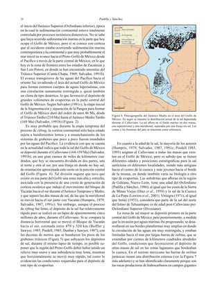 Padilla y Sánchez2626
el inicio del Jurásico Superior (Oxfordiano inferior), época
en la cual la sedimentación continental estuvo totalmente
controlada por procesos tectónicos distensivos. No se sabe
que haya ocurrido sedimentación marina en la parte que hoy
ocupa el Golfo de México, pero sí se conoce con certeza
que al occidente estaba ocurriendo sedimentación marina
contemporánea a la continental y que muy probablemente el
mar inició su avance hacia el Proto-Golfo de México desde
el Pacíﬁco a través de la parte central de México, en lo que
hoy es la zona de frontera entre los estados de Zacatecas y
San Luis Potosí, en donde se han encontrado amonitas del
Triásico Superior (Cantú-Chapa, 1969; Salvador, 1991b).
El avance transgresivo de las aguas del Pacíﬁco hacia el
oriente fue invadiendo el área del actual Golfo de México
para formar extensos cuerpos de aguas hipersalinas, con
una circulación sumamente restringida y, quizá también
un clima de tipo desértico, lo que favoreció el depósito de
grandes volúmenes de evaporitas en la parte central del
Golfo de México. Según Salvador (1991c), la etapa inicial
de la fragmentación y separación de la Pangea para formar
el Golfo de México duró del orden de unos 46 Ma, desde
el Triásico Tardío (210 Ma) hasta el Jurásico Medio Tardío
(169 Ma) (Salvador, 1991b) (Figura 2).
Es muy probable que durante la etapa temprana del
proceso de rifting, la corteza continental sólo haya estado
sujeta a hundimientos lentos y a ensanchamiento de los
sistemas de grabenes que poco a poco fueron inundados
por las aguas del Pacíﬁco. La evidencia con que se cuenta
en la actualidad indica que toda la sal del Golfo de México
se depositó durante el Calloviano (164-159 Ma) (Salvador,
1991b), en una gran cuenca de miles de kilómetros cua-
drados, que hoy se encuentra dividida en dos partes, una
al norte y otra al sur, por una franja en donde no hay sal,
de orientación aproximada este-oeste en la porción central
del Golfo (Figura 6). Tal división sugiere que tuvo que
existir en esa parte del Golfo una zona más alta y estrecha,
asociada con la presencia de una cresta de generación de
corteza oceánica que indujo el movimiento del bloque de
Yucatán hacia el sur durante el Jurásico Temprano y Medio,
y que separó las dos masas de sal, de las que la meridional
se movió hacia el sur junto con Yucatán (Humpris, 1979;
Salvador, 1987, 1991c). Sin embargo, aunque el proceso
de rifting fue lento, el depósito de la sal fue relativamente
rápido pues se realizó en un lapso de aparentemente cinco
millones de años, durante el Calloviano. Si se compara la
distancia horizontal que se movió el Bloque de Yucatán
hacia el sur, estimada entre 470 y 520 km (Buffler y
Sawyer, 1985; Pindell, 1985; Dunbar y Sawyer, 1987), con
las decenas de metros que se hundieron los pisos de los
grabenes triásicos (Figura 5) que subyacen los depósitos
de sal, durante el mismo lapso de tiempo, es posible su-
poner que la región del Proto-Golfo debió haber tenido un
relieve muy suave y una subsidencia muy lenta, mientras
que horizontalmente se movió muy rápido, tal como lo
evidencian las condiciones requeridas para el depósito de
este tipo de evaporitas.
En cuanto a la edad de la sal, la mayoría de los autores
(Humpris, 1979; Salvador, 1987, 1991c; Pindell 1985,
1993) asignan al Calloviano a todas las masas que exis-
ten en el Golfo de México, pero es sabido que se tienen
diferentes edades y posiciones estratigráﬁcas para la sal
autóctona en diferentes localidades, siendo más antiguas
hacia el centro de la cuenca y más jóvenes hacia el borde
de la misma, en donde también varía su litología a otro
tipo de evaporitas. Las anhidritas que aﬂoran en la región
de Galeana, Nuevo León, tiene una edad del Oxfordiano
(Padilla y Sánchez, 1986), al igual que los yesos de la Sierra
de Minas Viejas (Díaz et al., 1959) y la sal de la Cuenca
de La Popa (Lawton et al., 2001). Viniegra (1971), al igual
que Imlay (1953), considera que parte de la sal del norte
del Istmo de Tehuantepec es de edad post-Calloviano pre-
Oxfordiano Superior (Divesiano).
La masa de sal mayor se depositó primero en la parte
central del Golfo de México, pero posteriormente, a medida
que la invasión por aguas marinas iba progresando, se desa-
rrollaron en sus bordes plataformas muy amplias en donde
la circulación de las aguas era muy restringida, y estaban
limitadas hacia el mar por largas barras de oolitas, que se
extendían por cientos de kilómetros cuadrados alrededor
del Golfo, condiciones que favorecieron el depósito de
otras masas de sal en las zonas lagunares que bordeaban
la cuenca. En el sureste mexicano las barras de oolitas
jurásicas tienen una distribución extensa (ver la Figura 7
más adelante) y se han identiﬁcado claramente porque son
las rocas productoras de hidrocarburos en campos gigantes
87°
16°
18°
20°
102° 100°
98° 96° 92° 90° 88°94°km
2001000
Área emergida
Área marina
Afloramientos de
Sal calloviana
(Ubicación actual)
Área emergida
Área marina
Afloramientos de
sal calloviana
(Ubicación actual)
Figura 6. Paleogeografía del Jurásico Medio en el área del Golfo de
México. En negro se muestra la distribución actual de la sal depositada
durante el Calloviano. La sal aﬂora en el fondo marino en dos masas,
una septentrional y otra meridional, separadas por una franja sin sal. Las
costas y las fronteras del país se muestran como referencia.
 