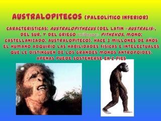 Australopitecos (paleolítico inferior)Características: Australopithecus (del latín «australis», del sur, y del griego «πίθηκος» pithekos, mono; castellanizado, australopiteco). Hace 3 millones de años el humano adquirió las habilidades físicas e intelectuales que le distinguen de los grandes monos antropoides. Apenas puede sostenerse en 2 pies