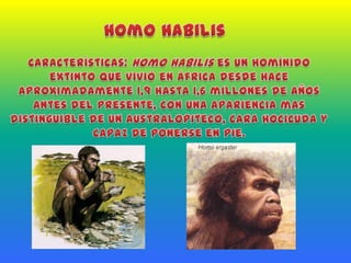 Homo HabilisCaracterísticas: Homo habilis es un homínido extinto que vivió en África desde hace aproximadamente 1,9 hasta 1,6 millones de años antes del presente, con una apariencia mas distinguible de un australopiteco, cara hocicuda y capaz de ponerse en pie.