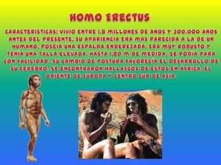 Homo ErectusCaracterísticas: vivió entre 1,8 millones de años y 300.000 años antes del presente, su apariencia era más parecida a la de un humano, poseía una espalda enderezada, Era muy robusto y tenía una talla elevada, hasta 1,80 m de medida. Se podía para con facilidad. Su cambio de postura favorecía el desarrollo de su cerebro. Se encontraron hallazgos de estos en África, el oriente de Europa y centro sur de Asia.