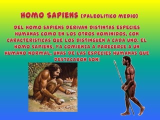 Homo Sapiens (paleolitico medio)Del homo sapiens derivan distintas especies humanas como en los otros homínidos, con caracteristicas que los distinguen a cada uno, el homo sapiens, ya comienza a parecerce a un humano normal, unas de las especies humanas que destacaron son: