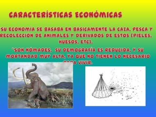 Características Económicas*Su economía se basaba en básicamente la caza, pesca y recolección de animales y derivados de estos (pieles, huesos, etc). *Son nómades,  su demografía es reducida, y su mortandad muy alta, ya que no tienen lo necesario para vivir. 