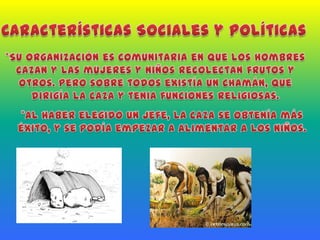 Características Sociales y Políticas*Su organización es comunitaria en que los hombres cazan y las mujeres y niños recolectan frutos y otros. Pero sobre todos existía un chamán, que dirigía la caza y tenia funciones religiosas. *Al haber elegido un jefe, la caza se obtenía más éxito, y se podía empezar a alimentar a los niños.