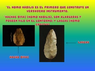 *El Homo Hábilis es el primero que construye un verdadero instrumento.*Hachas Bifaz (Homo Hábilis), son alargadas y poseen filo en el contorno; y Lascas (Homo Erectus) LascasHacha Bifaz