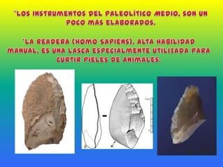 *Los Instrumentos del Paleolítico Medio, son un poco más elaborados.*La readera (Homo Sapiens), alta habilidad manual, es una lasca especialmente utilizada para curtir pieles de animales.