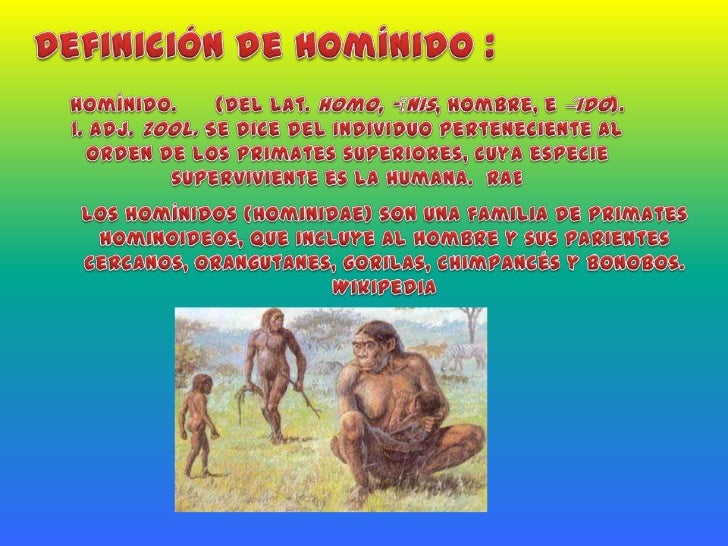 Evolucion hominidos y paleolítico