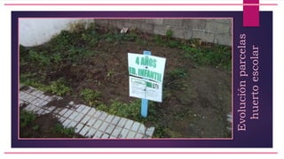 Evoluciónparcelas
huertoescolar
 
