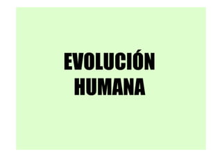 EVOLUCIÓN
 HUMANA
 