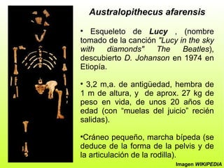 Evolución humana | PPT