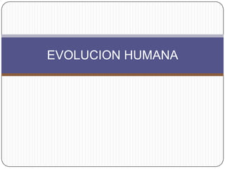 EVOLUCION HUMANA 