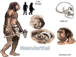 1,6m
Europa




          1.600 cm3




         viaxeaitaca.com
 