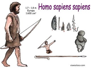 1,7 – 1,8 m
  Europa
1.600 cm3




              viaxeaitaca.com
 