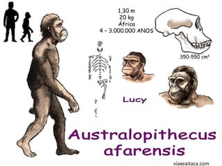 1,30 m
        20 kg
       África
4 – 3.000.000 ANOS



                       350-550 cm3




                     viaxeaitaca.com
 