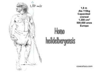 1,8 m
 Ata 110kg
 Capacidad
   craneal
  1.200 cm3
500.000 anos
   Europa




viaxeaitaca.com
 