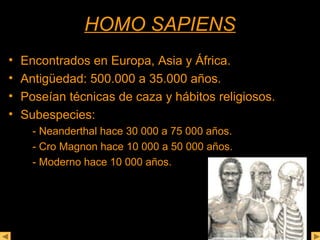 HHOOMMOO SSAAPPIIEENNSS 
• Encontrados en Europa, Asia y África. 
• Antigüedad: 500.000 a 35.000 años. 
• Poseían técnicas de caza y hábitos religiosos. 
• Subespecies: 
- Neanderthal hace 30 000 a 75 000 años. 
- Cro Magnon hace 10 000 a 50 000 años. 
- Moderno hace 10 000 años. 
 