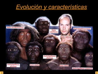 EEvvoolluucciióónn yy ccaarraacctteerrííssttiiccaass 
 