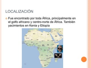 LOCALIZACIÓN
 Fue encontrado por toda África, principalmente en
el golfo africano y centro-norte de África. También
yacimientos en Kenia y Etiopía
 
