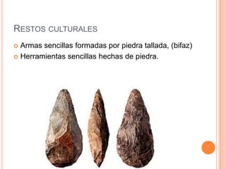 RESTOS CULTURALES
 Armas sencillas formadas por piedra tallada, (bifaz)
 Herramientas sencillas hechas de piedra.
 