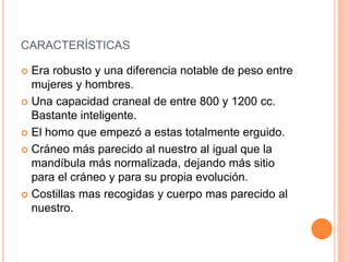 CARACTERÍSTICAS
 Era robusto y una diferencia notable de peso entre
mujeres y hombres.
 Una capacidad craneal de entre 800 y 1200 cc.
Bastante inteligente.
 El homo que empezó a estas totalmente erguido.
 Cráneo más parecido al nuestro al igual que la
mandíbula más normalizada, dejando más sitio
para el cráneo y para su propia evolución.
 Costillas mas recogidas y cuerpo mas parecido al
nuestro.
 