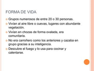 FORMA DE VIDA
 Grupos numerosos de entre 20 o 30 personas.
 Vivían al aire libre o cuevas, lugares con abundante
vegetación.
 Vivían en chozas de forma ovalada, era
comunitaria.
 No era carroñero como los anteriores y cazaba en
grupo gracias a su inteligencia.
 Descubre el fuego y lo usa para cocinar y
calentarse.
 