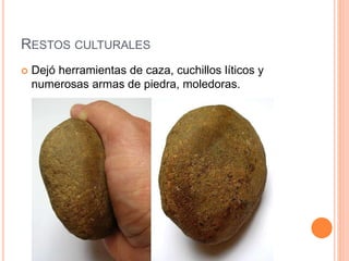 RESTOS CULTURALES
 Dejó herramientas de caza, cuchillos líticos y
numerosas armas de piedra, moledoras.
 
