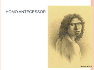 HOMO ANTECESSOR
 