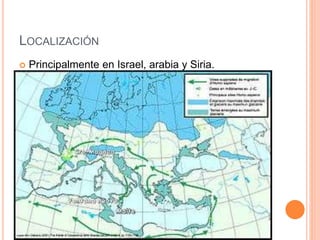 LOCALIZACIÓN
 Principalmente en Israel, arabia y Siria.
 