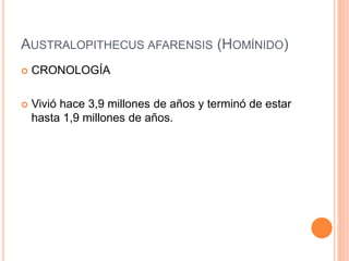 AUSTRALOPITHECUS AFARENSIS (HOMÍNIDO)
 CRONOLOGÍA
 Vivió hace 3,9 millones de años y terminó de estar
hasta 1,9 millones de años.
 