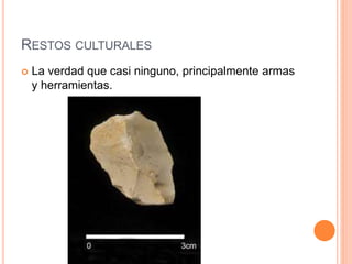 RESTOS CULTURALES
 La verdad que casi ninguno, principalmente armas
y herramientas.
 