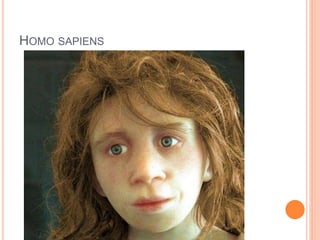 HOMO SAPIENS
 